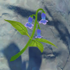 We did not find results for: Violetgrass Genshin Impact Wiki Fandom
