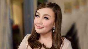 Sharon cuneta expressed her frustration with ronald c. Sharon Cuneta To Build New Home For Her Children Push Com Ph Your Ultimate Showbiz Hub