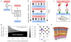 Save up to 80% versus print by going digital with vitalsource. Entropy Free Full Text Fate Of Duplicated Neural Structures Html