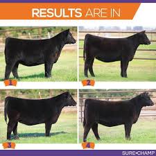 Pin On Ag In The Classroom