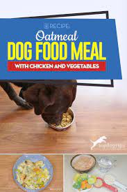 Recipe Oatmeal Dog Food Meal With Chicken And Vegetables Dog Food Recipes Make Dog Food Dog Biscuit Recipes