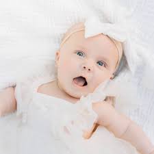 Donna Dillingham (@desertdesignstudiolv) • Instagram photos and videos