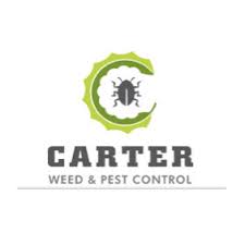 In terms of the drywood termites that live in the wall. Carter Weed And Pest Control Gilbert Az Us 85233 Houzz