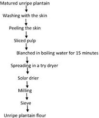 Flow Chart For Production Process Of Unripe Plantain Flour