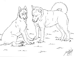 Eye color siberian huskies also feature a wide variety of eye color. Siberian Husky Coloring Pages To Print Out 1708 Realistic Husky Coloring Pages Coloringtone Book
