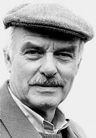 Peter Strohm (TV Series 1989–1996)