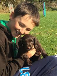 Devongem BCollies & Wockers...