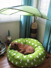 blinky s new bed with canopy pet corner pets your pet