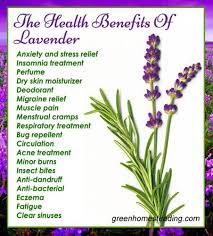Easy 4 Ingredient Lavender Lemonade A Natural Solution For Headache Lavender Benefits Herbs For Health Health