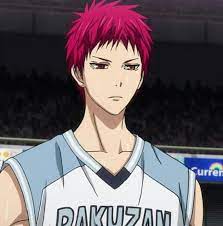 Seijuro Akashi Anime