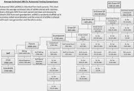 Dna Average Estimated Cms For Autosomal Testing Comparison