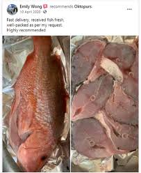 Our fishermen take short fishing trips (< 36 hours) on their small sized boats. Largest Online Fresh Seafood Delivery In Kl Klang Valley Malaysia Oktopurs Online