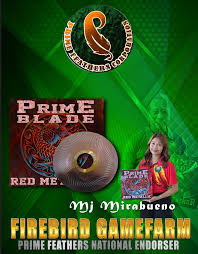 Prime Feathers Corporation...