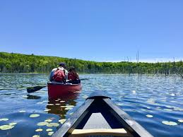 There are 330 provincial parks in ontario, and added together they'd cover 7% of the province. 7 Ontario Parks To Visit This Summer The Curious Creature