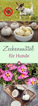 Pin Auf Hausmittelchen