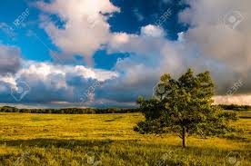 May 04, 2021 · big meadows lodge and restaurant is a 5 minute walk from the campground and big meadows wayside is located beside byrd visitor center. Sunset Clouds Over A Tree In Big Meadows Shenandoah National Stock Photo Picture And Royalty Free Image Image 21005022