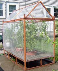 Caterpillar House Butterfly Houses Butterfly House Dream Backyard