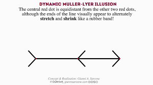 Measurement of both illusions using a group of 32 subjects indicated that a. Dynamic Muller Lyer Illusion By Gianni A Sarcone Youtube