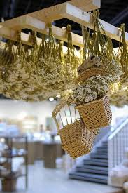 This method won't require the need for any drywall anchors. Dried Flower Dried Flower Arrangements Dried Flowers Flower Ceiling