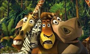 | lemurs, baobabs, rainforest, desert, hiking and diving: Africa On Film Madagascar