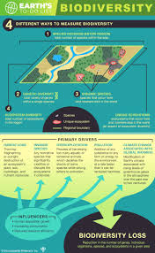 The Problem Of Biodiversity Loss In 2020 Biodiversity Ecological Systems Climate Change Solutions
