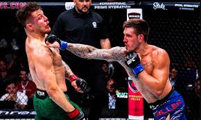 Toutes les tendances porno Leo - her dominant presence