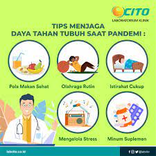 Konsumsi buah dan sayur dan perbanyak makanan untuk menambah daya tahan tubuh. Labcito On Twitter Penting Banget Buat Kamu Untuk Selalu Jaga Kesehatan Di Masa Pandemi Seperti Ini Karena Dengan Menjaga Daya Tahan Tubuh Untuk Tetap Sehat Dan Prima Kita Bisa Menjalani Aktivitas Dengan
