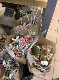 Halloween 2021 at a christmas tree shop !!?? Christmas Tree Shops 31 Photos 55 Reviews Christmas Trees 177 Middlesex Ave Somerville Ma United States Phone Number Yelp