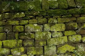 We did not find results for: Couverts De Mousse Mur De Pierre Seche Dans Le Yorkshire En Angleterre Banque D Images Et Photos Libres De Droits Image 29794342