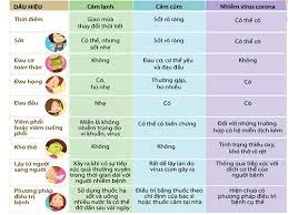 Phân biệt giữa coronavirus, cảm cúm, và cảm thường. Dáº¥u Hiá»‡u Phan Biá»‡t Nhiá»…m Cáº£m Láº¡nh Cum Mua Va Covid 19