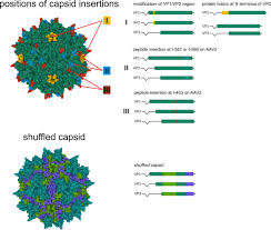 Image result for White 1995 AAV