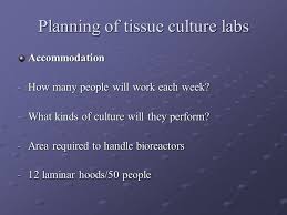 Growing animal cells taken from live tissues under laboratory conditions. Laboratory Design And Layout Ppt Video Online Download