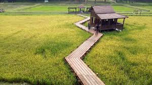 Nak hidup sihat sebagai pelajar, badan cergas minda cerdas. Taman Botani Shah Alam Bukit Cerakah Wah Nyamannya Tempat Menarik Di Selangor 2020