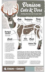 Infographic On Hunting Venison Chart Venison Deer Meat