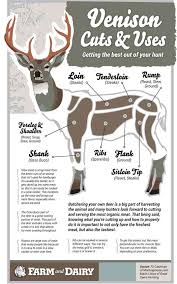 infographic on hunting venison chart venison deer meat