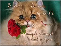 Według katolików dzieciątko jezus nawiedziło pewnej nocy antoniego i ucałowało go zapewniając o miłości boga. Imieniny Znaleziska I Wpisy O Imieniny W Wykop Pl Od Znaleziska 3854229