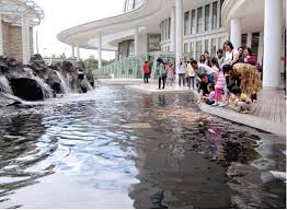 Gabung sama pizza ebirra karena memang satu grup ismaya juga. Kolam Ikan Di Central Park Tentang Kolam Kandang Ternak