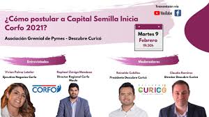 Corfo abrió las postulaciones a los capitales semilla inicia y semilla expande. Tecnicas Para Postular A Capital Semilla Inicia Corfo 2021 Youtube