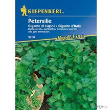Benutzen sie sumak, salz, pfeffer zusammen mit koriander oder petasilie. Glatte Petersilie Gigante De Italia Petroselinum Crispum Petersilie Garten Schluter
