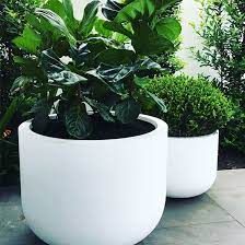 Jay scotts fiberglass mid rectangle planters. The Pietro U Planter Is A Contemporary Shaped Planter Made From Premium Grc Fibreglass Reinforced Cement A Material Which I Planters Plants Outdoor Planters