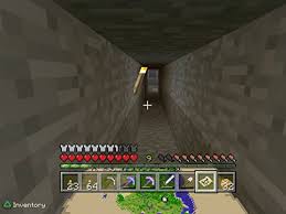 Turning 90 is a big deal. Minecraft Ps4 Gameplay Zebra Gamer 2014