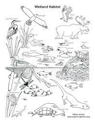 Next try some labeling pages. Animal Habitat Coloring Pages Animal Habitat Coloring Pages Animal Habitat Coloring Pages Animal Habit Coloring Pages Nature Coloring Pages Wetlands Activities