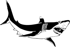 Download Svg Animal Fish Wild Stencil Free Svg Image Icon Svg Silh