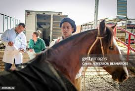 Image result for Glanders