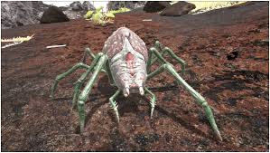 Ark Araneo Guide Abilities Taming Food Saddle Breeding Drops Location Progametalk Hit that like button and leave a comment! ark araneo guide abilities taming