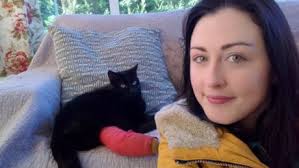 Bailey got lost after escaping from the garden