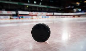 May 9, 2021, 1:00 pm·5 min read. Gruppenubergreifende Partien Ab Dem 20 Marz Penny Del Veroffentlicht Spielplan Fur Zweiten Saisonteil Eishockey News