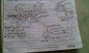 Bunga mawar gif gambar animasi animasi bergerak 100 gratis. Bunga Lengkap Pengertian Dan Penjelasannya Science Booth
