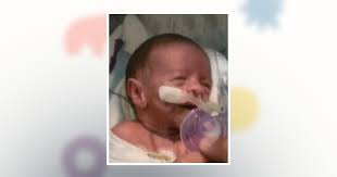 Rhys Alexander Baudoin Obituary November 2, 2022