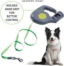 Dog leash with light and bags. Buy Sharper Image 3 In 1 Retractable Dog Leash With Flashlight And Waste Bag Dispenser Grey Online In Turkey B07v2jpjhf